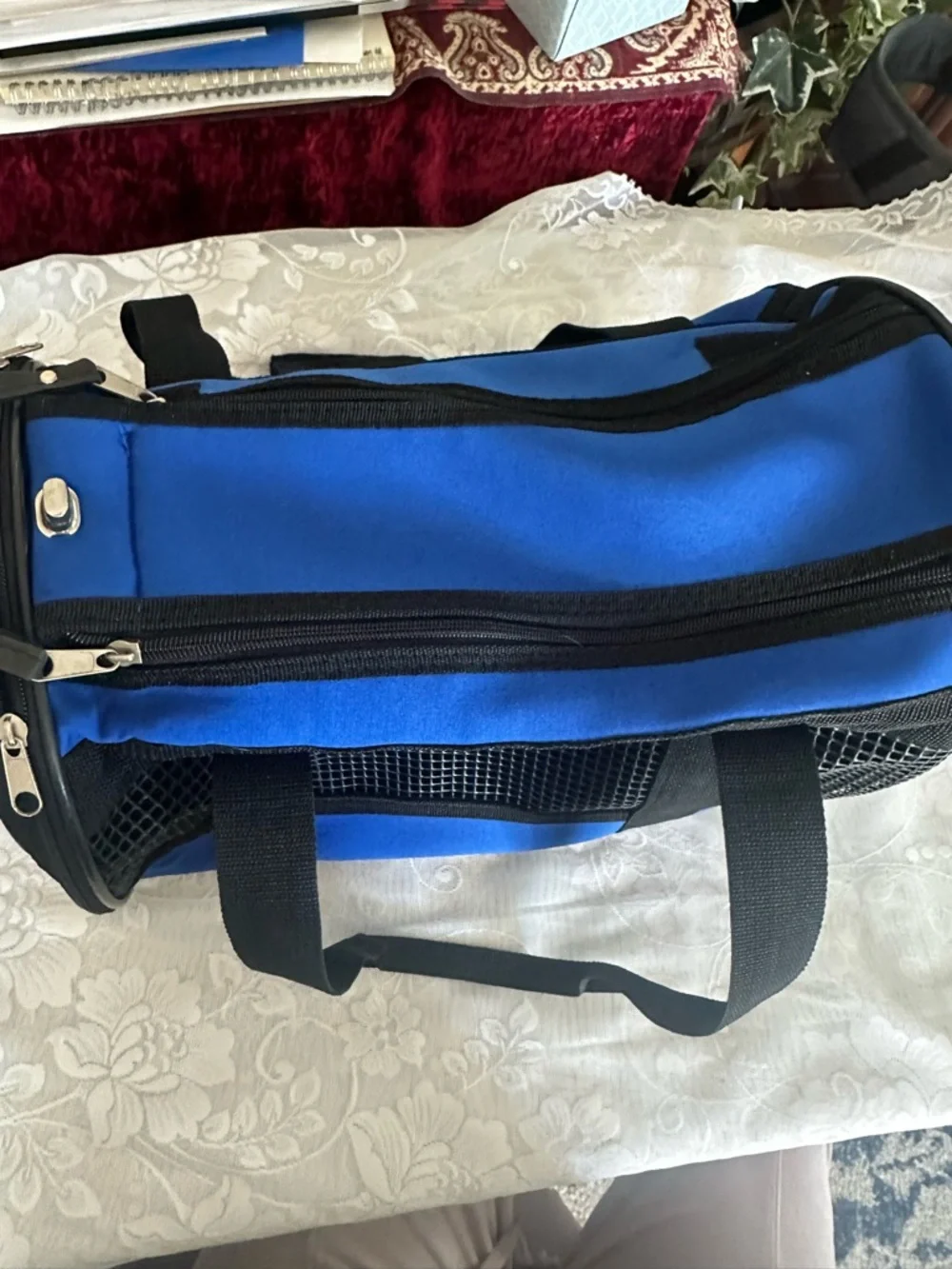 Blue and Black pet Travel carrier